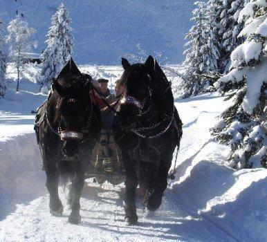 Hotel Oxa Hittisau Kültér fotó