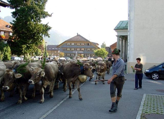 Hotel Oxa Hittisau Kültér fotó